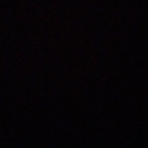 Meet your Posher, Dinora